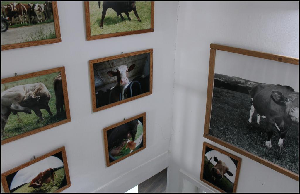 Hotel Artfarm Wiehl Zewnętrze zdjęcie